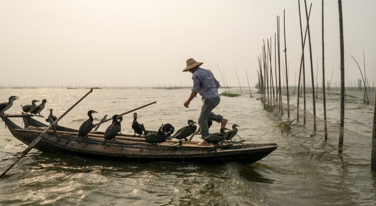 Langs de oevers van de Yangtze