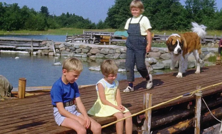 Life on Seacrow Island