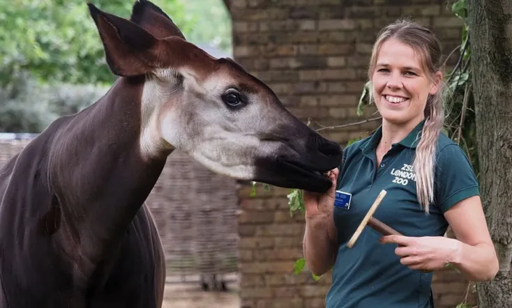 London Zoo: An Extraordinary Year