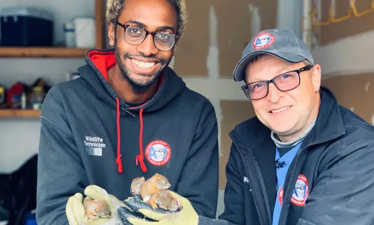 Louis and the Urban Jungle