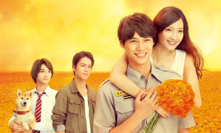 Marigold in 4 Minutes