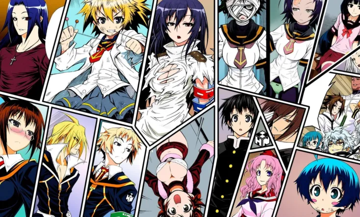 Medaka Box