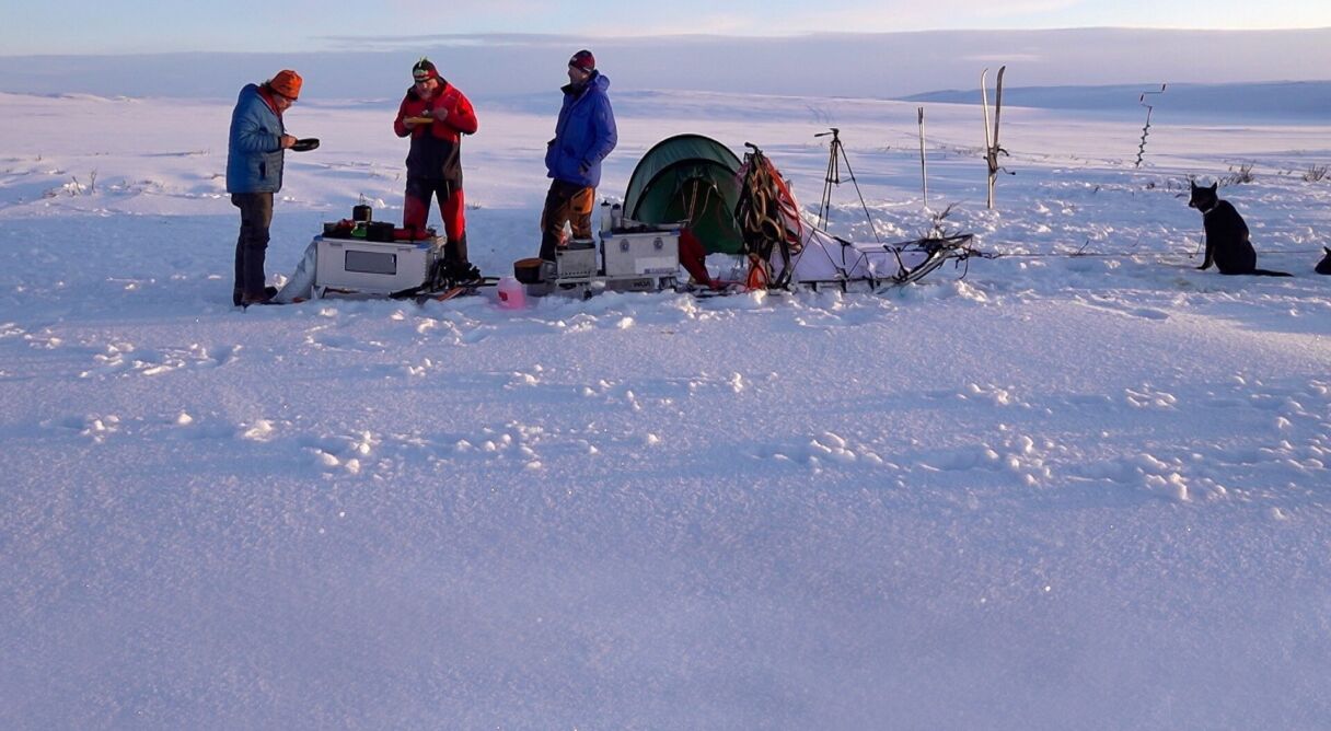 Monsen, Monsen og Mattis