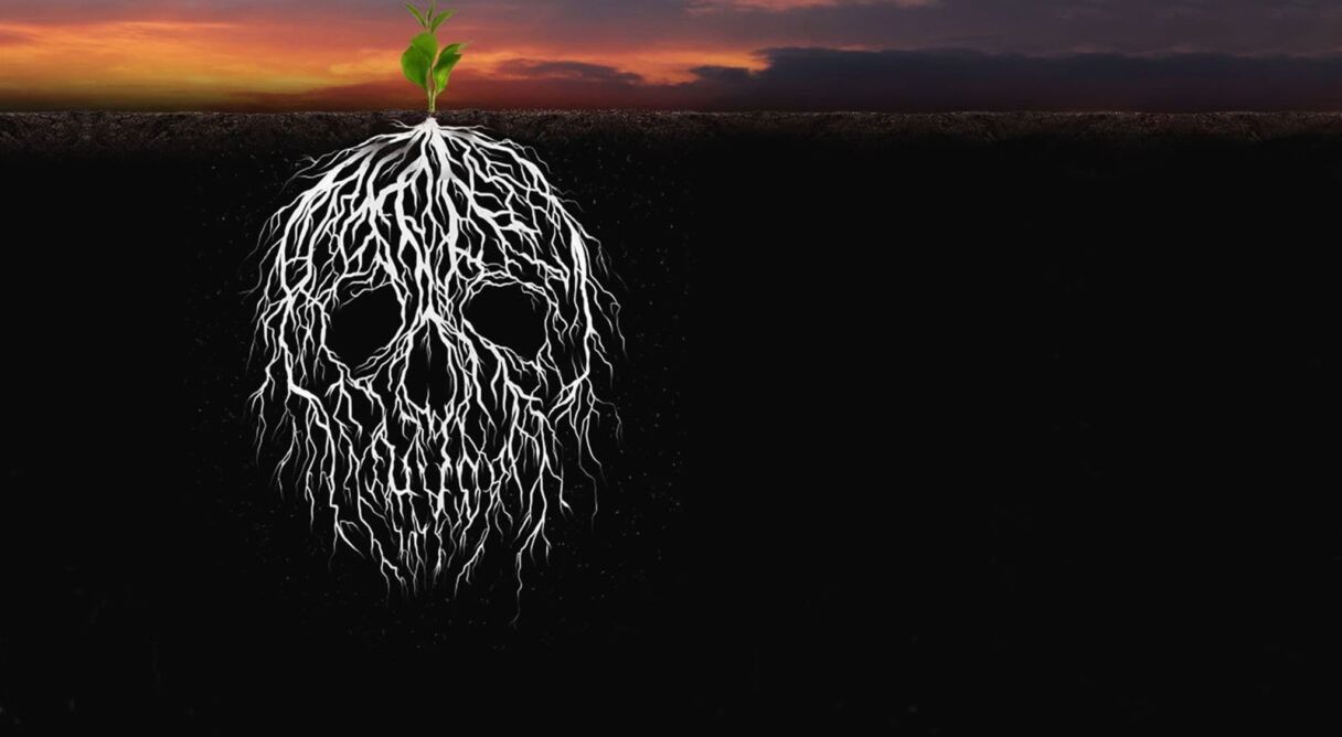 My Destiny and Your Destiny