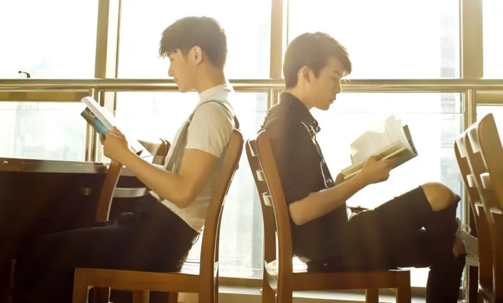 My Roommate is a Fairy Fox