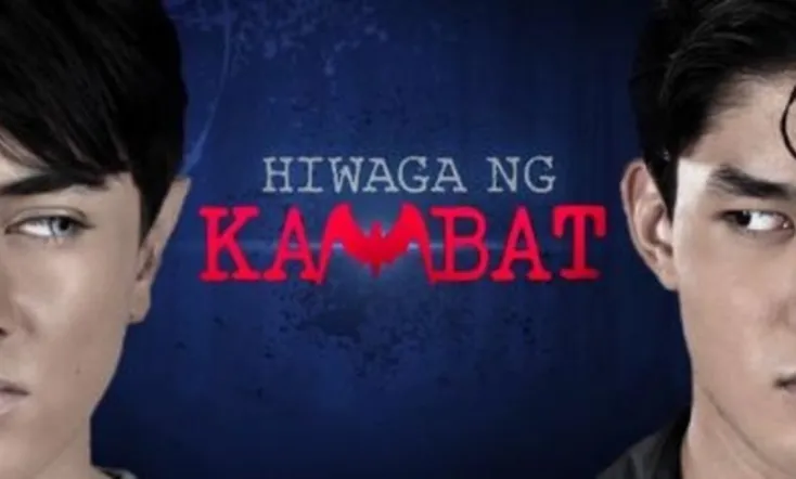 Mystery of the Twin Bat