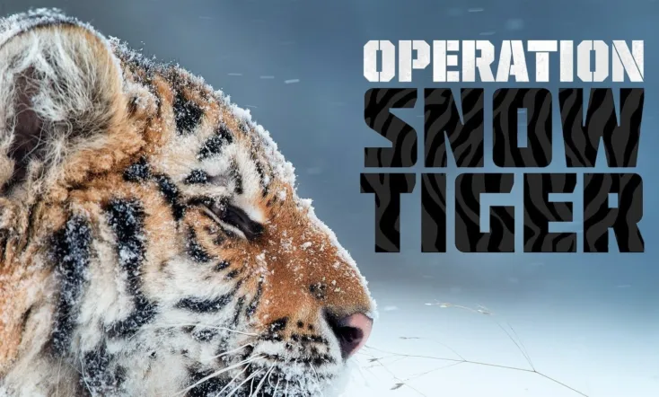 Operation Snow Tiger