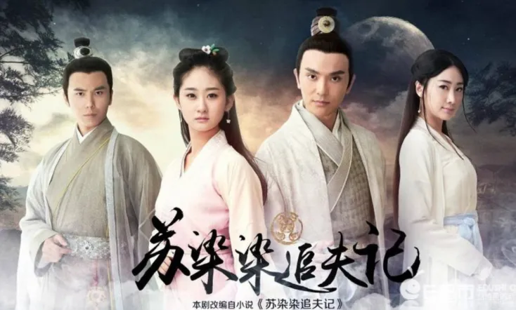 苏染染追夫记