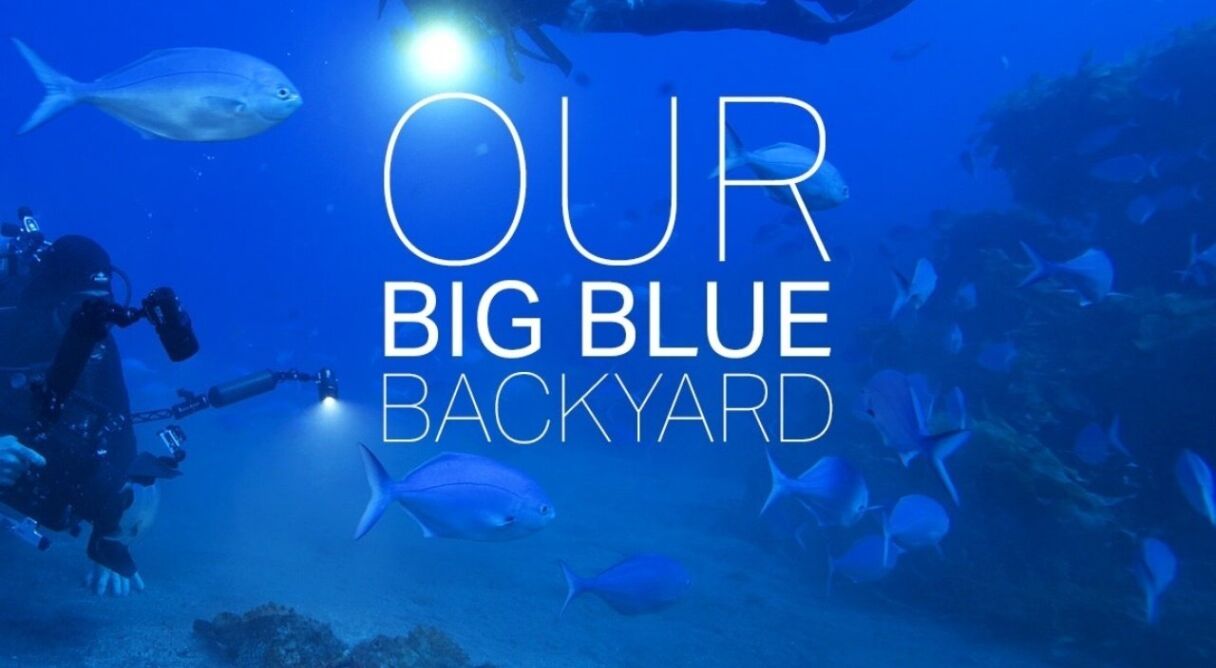 Our Big Blue Backyard