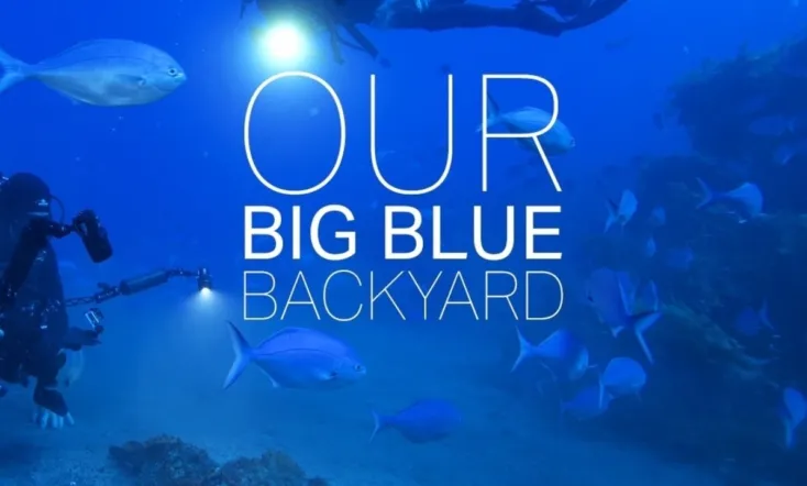 Our Big Blue Backyard