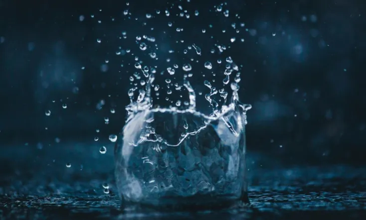 Rain: The Untold Story