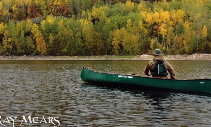 Ray Mears' Bushcraft