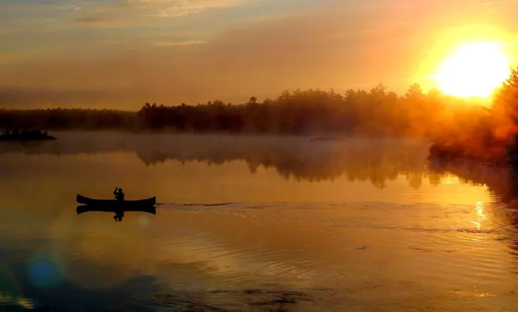 Ray Mears' Northern Wilderness