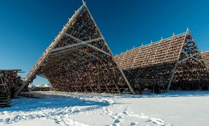 Restoring the Earth: The Age of Nature