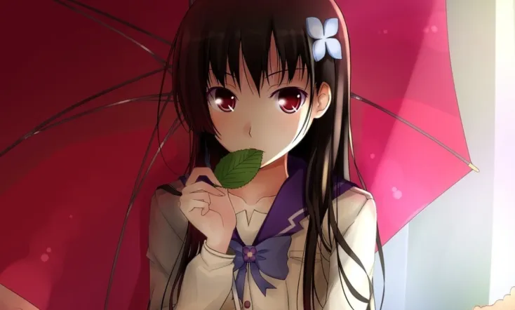 Sankarea