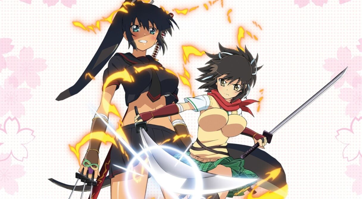 Senran Kagura: Ninja Flash!
