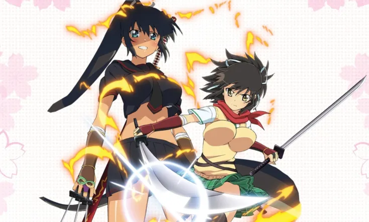Senran Kagura: Ninja Flash!