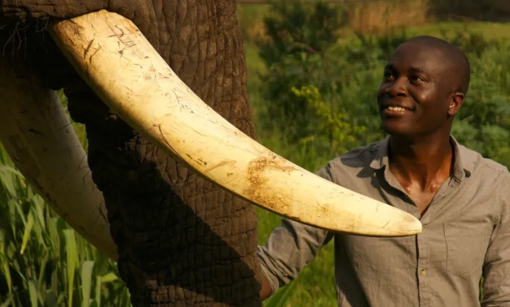 Super Senses: The Secret Power of Animals