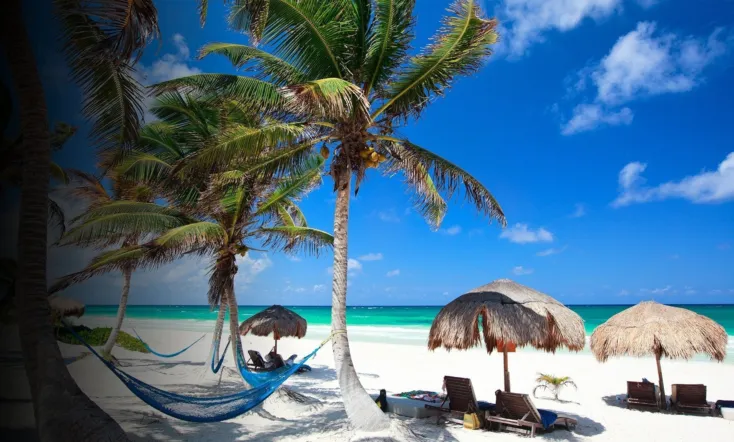 Tattoo Fixers on Holiday