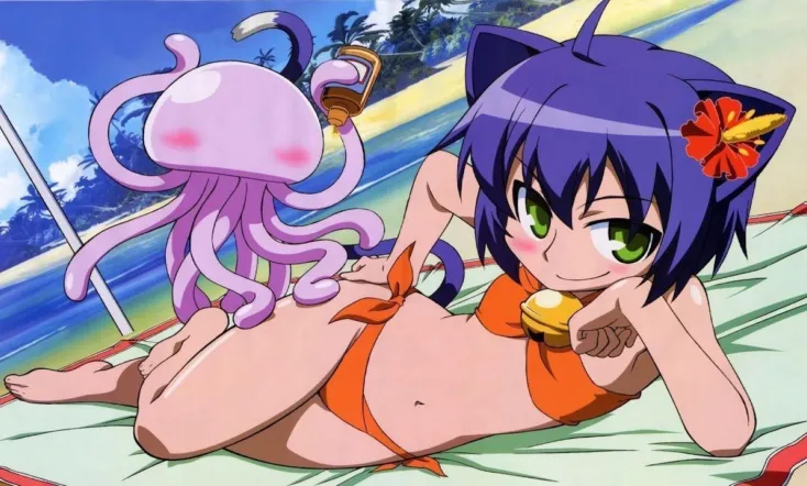 The Diary of a Crazed Family