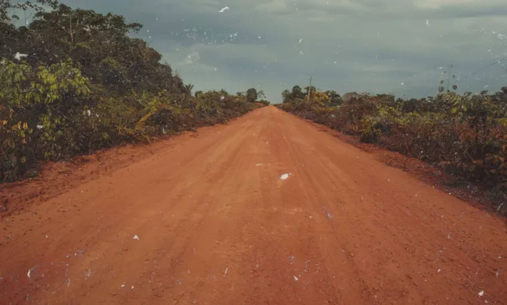 Transamazonica: A Highway to the Past