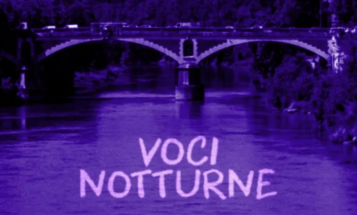 Voci notturne