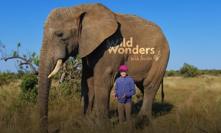 Wild Wonders with Brooke