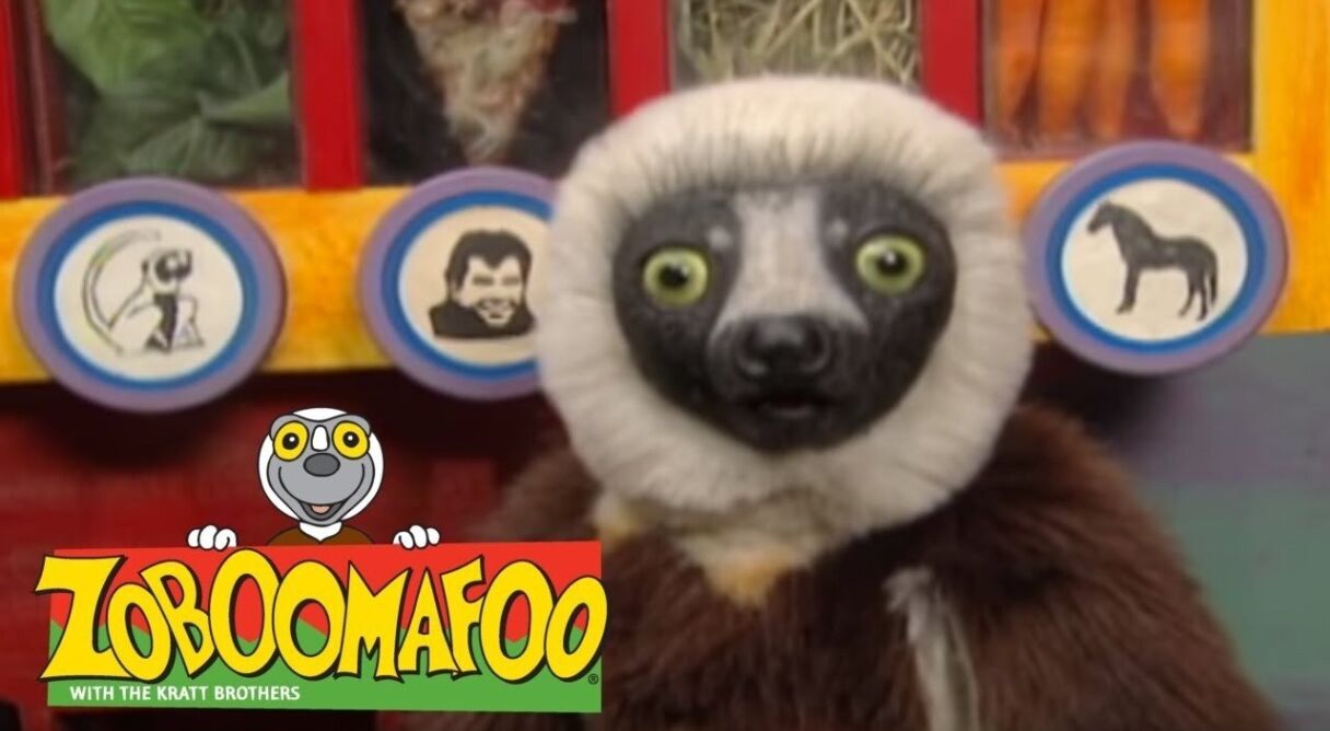 Zoboomafoo